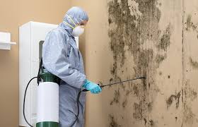 Why You Should Choose Our Mold Remediation Services in Pleasant View, TN